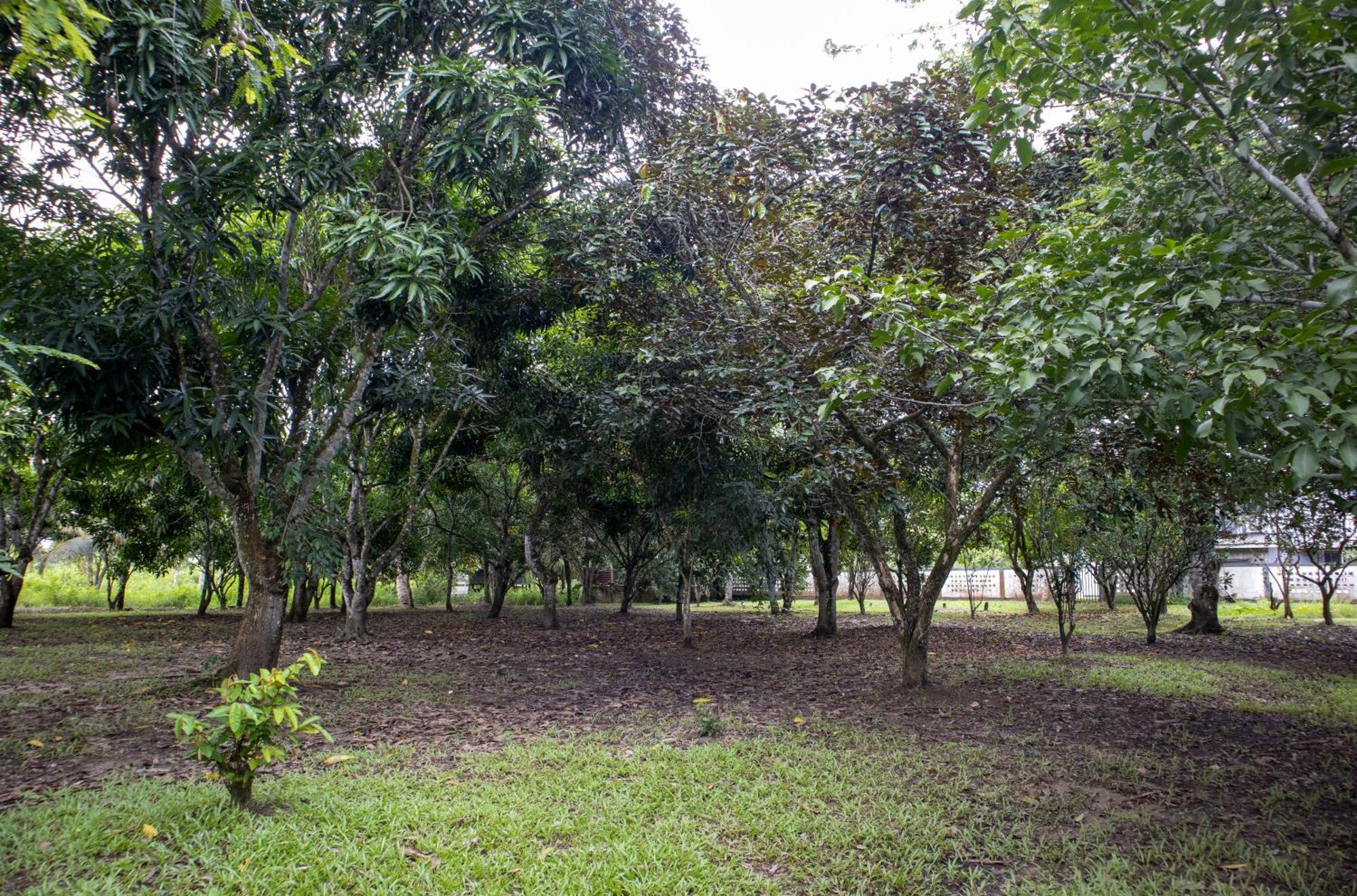 Sabajo Appartement Verhuur Paramaribo Esterno foto